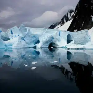 Arctic-Antartica-300x300