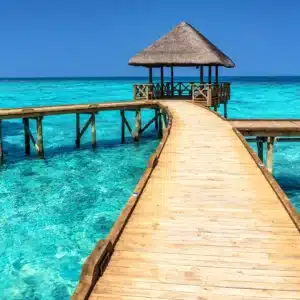 Caribbean-300x300